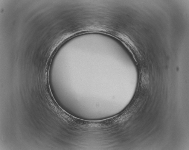 X0000081601268200702051320