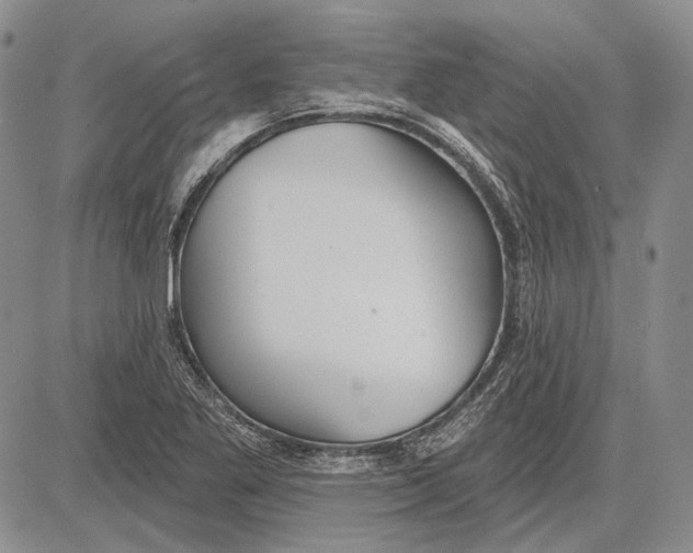 X0000081601269200702051320