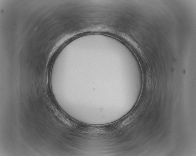 X0000081601270200702051320