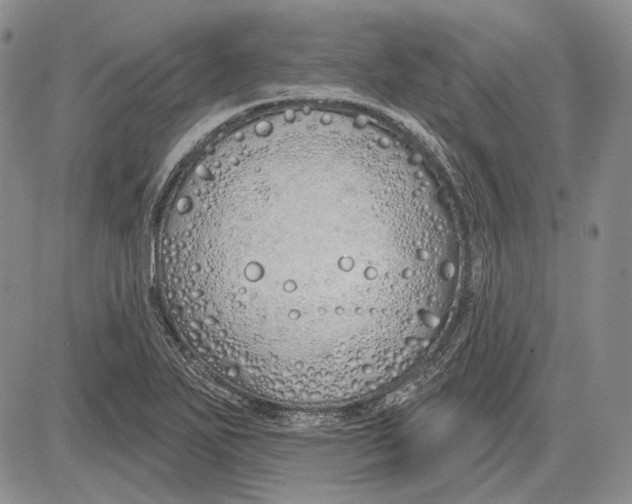 X0000081601271200702051320