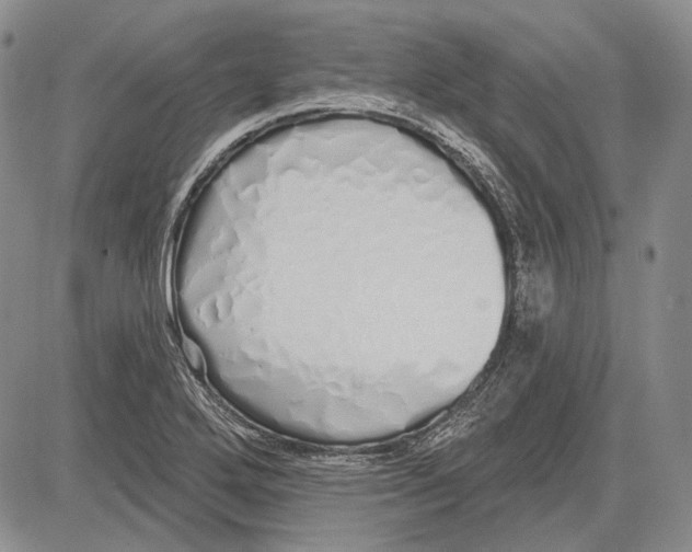 X0000081601272200702051320