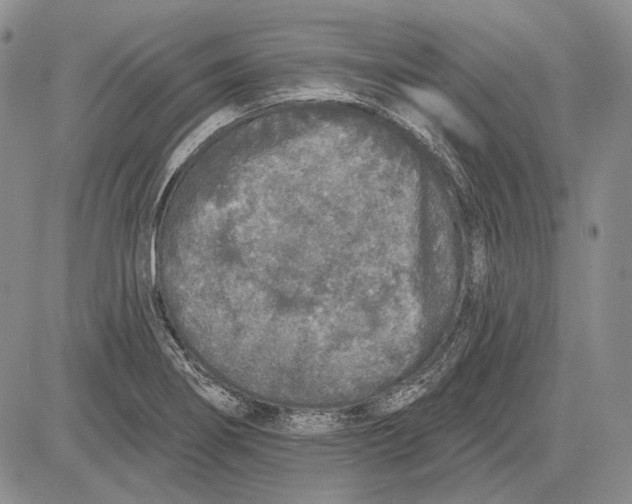 X0000081601274200702051320