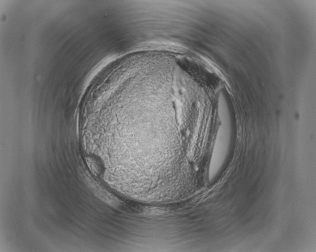 X0000081601275200702051320