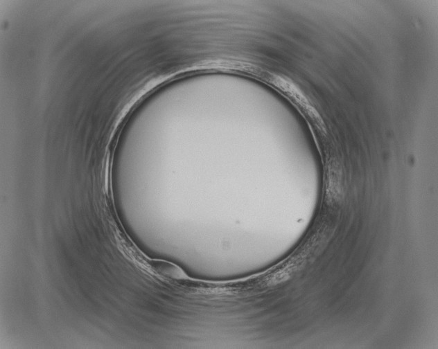 X0000081601276200702051320