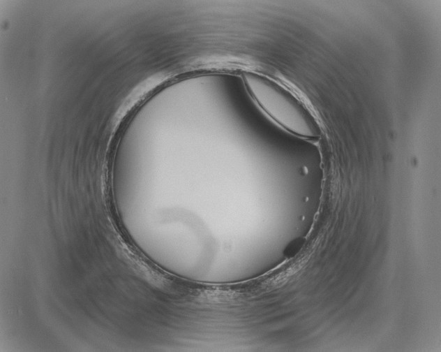 X0000081601277200702051320