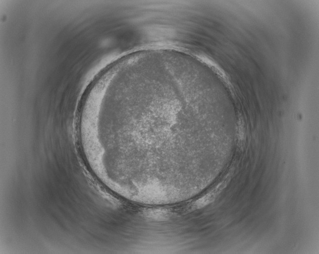 X0000081601278200702051320