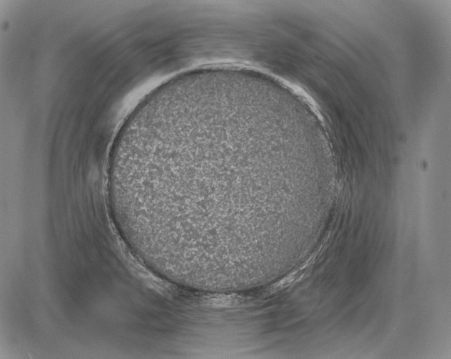 X0000081601279200702051320