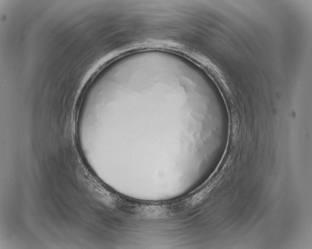 X0000081601280200702051320