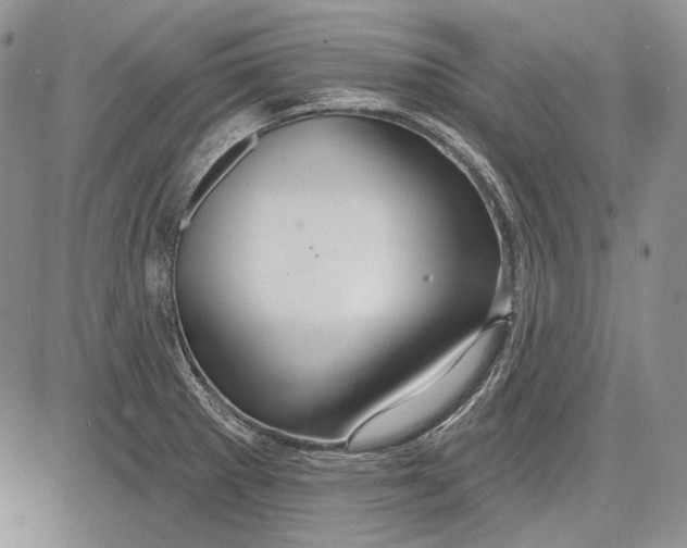 X0000081601281200702051320