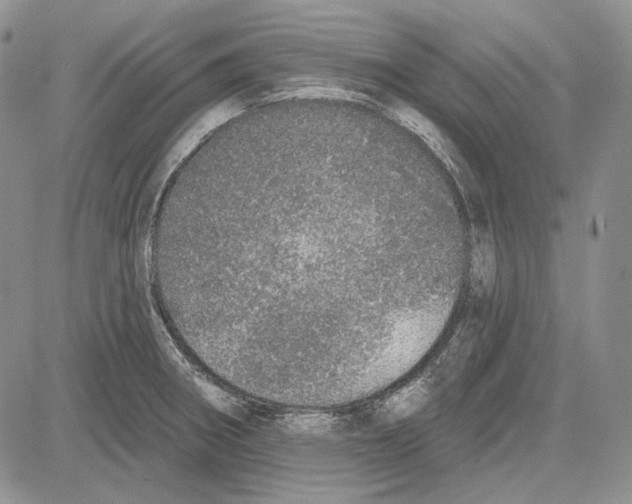 X0000081601282200702051320