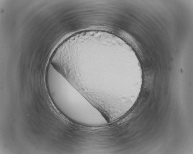 X0000081601284200702051320