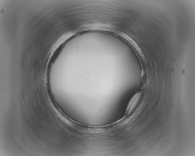 X0000081601285200702051320