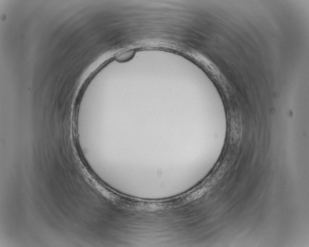 X0000081601286200702051320