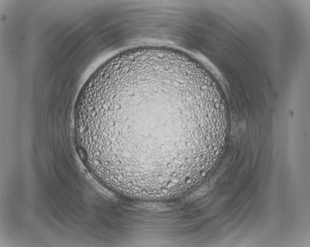 X0000081601287200702051320