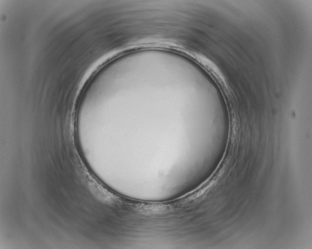 X0000081601288200702051320