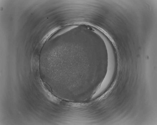 X0000081601289200702051320