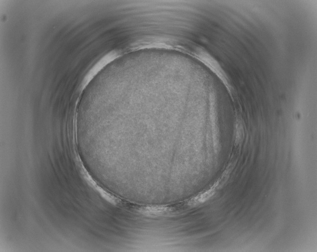 X0000081601290200702051320