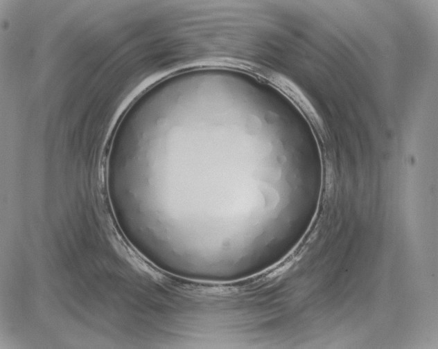 X0000081601292200702051320