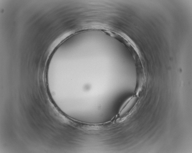 X0000081601293200702051320