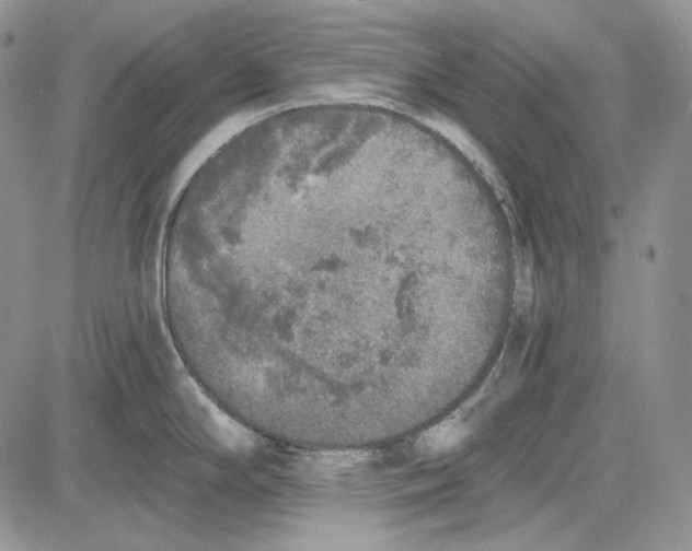 X0000081601294200702051320