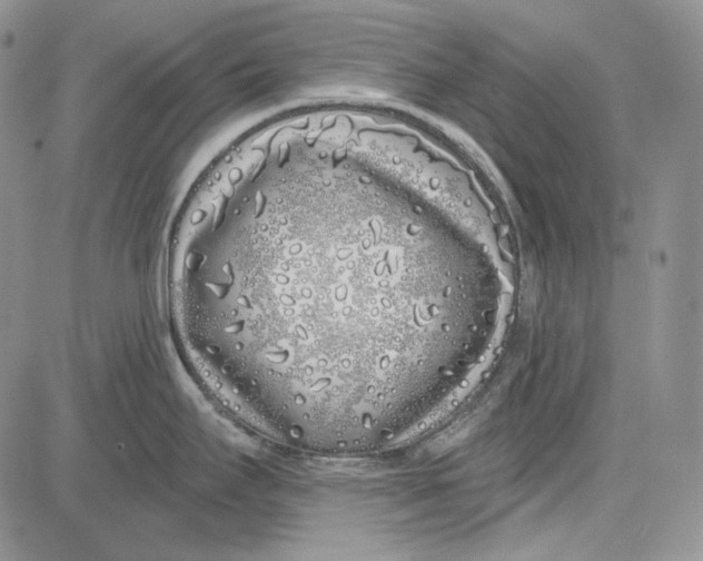 X0000081601295200702051320