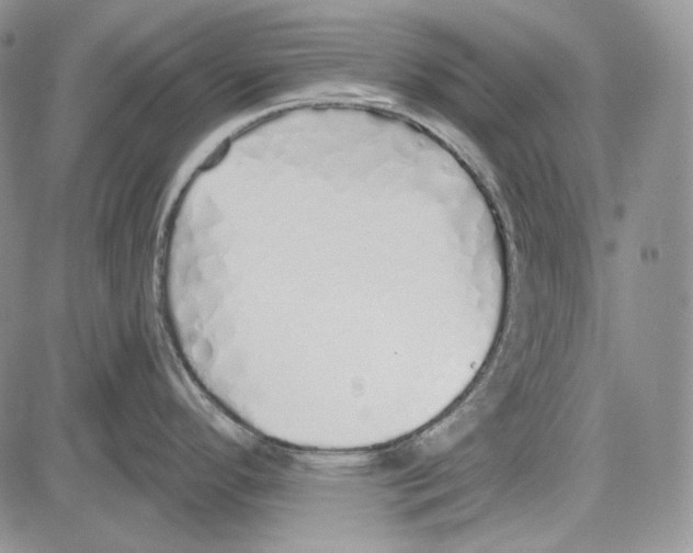 X0000081601296200702051320