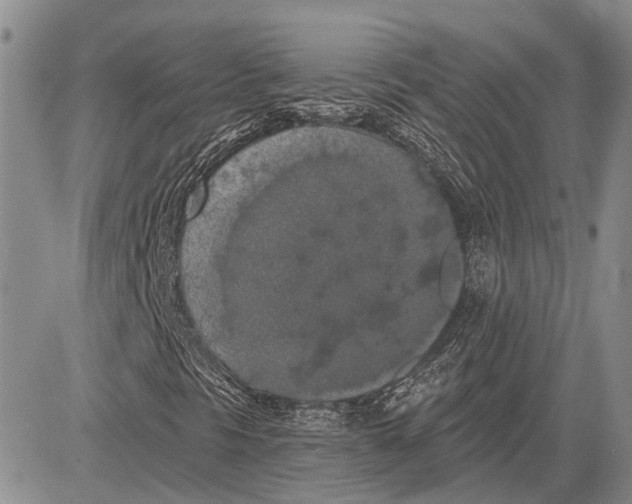 X0000081601297200702051319