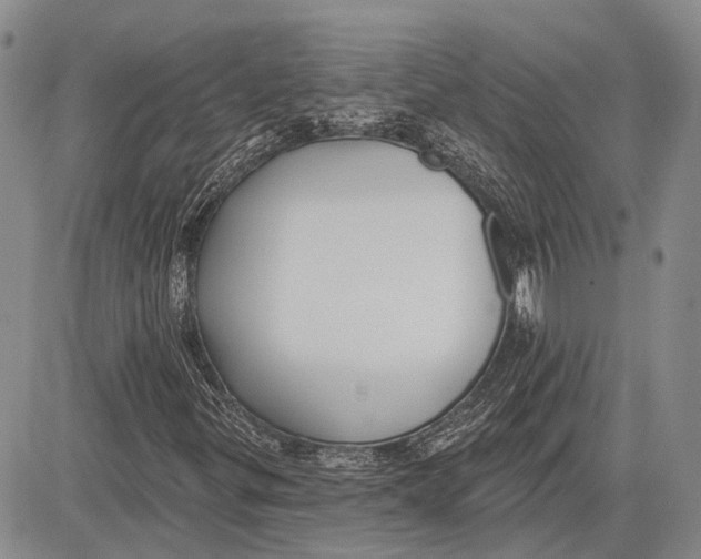 X0000081601299200702051319