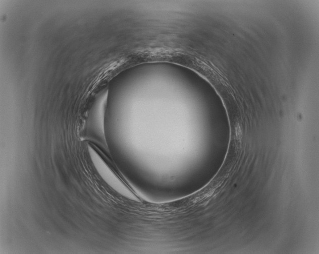 X0000081601300200702051319