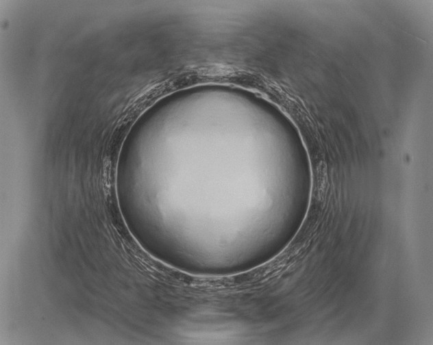 X0000081601301200702051319