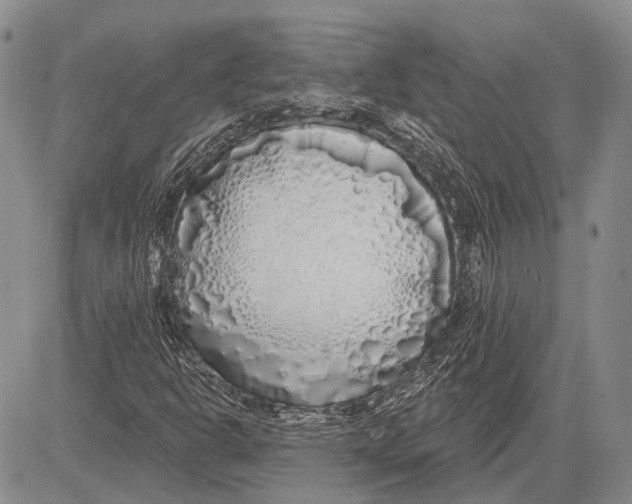 X0000081601302200702051319