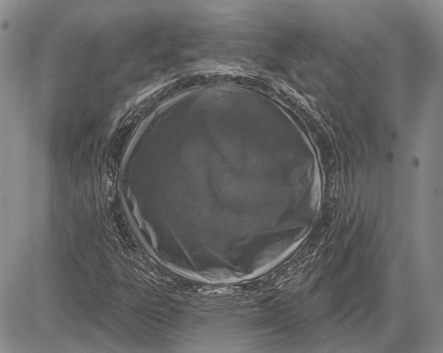 X0000081601303200702051319