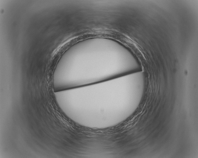 X0000081601304200702051319