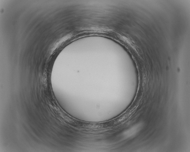 X0000081601307200702051319