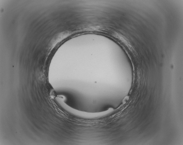 X0000081601308200702051319