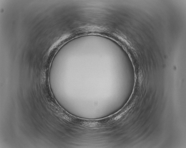 X0000081601309200702051319