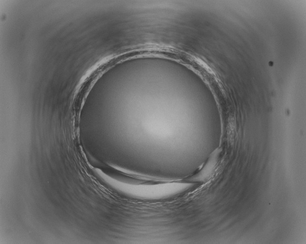 X0000081601310200702051319