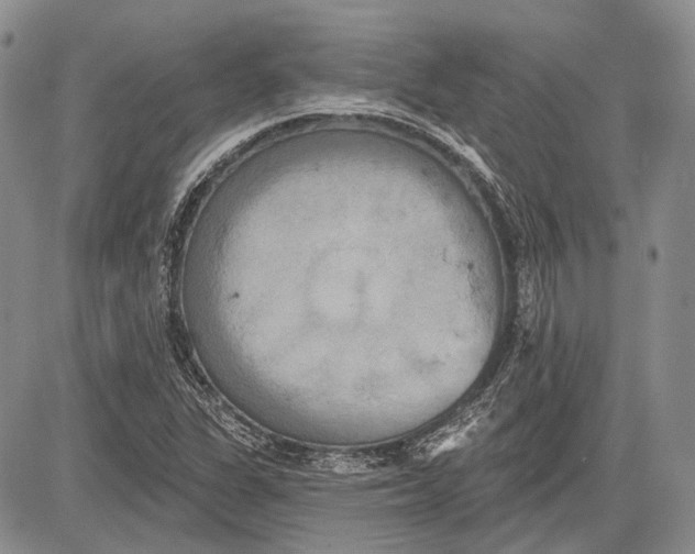 X0000081601311200702051319