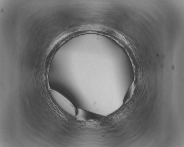 X0000081601312200702051319