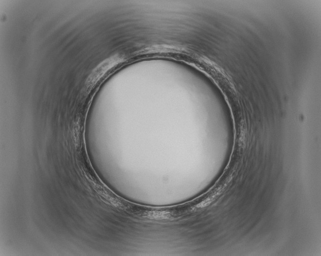 X0000081601313200702051319