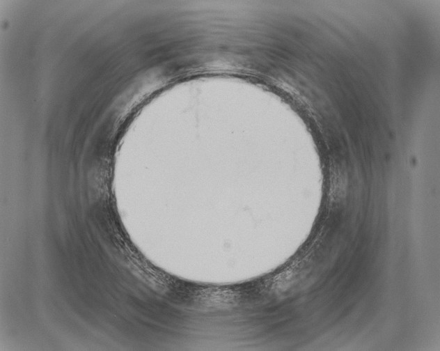 X0000081601314200702051319