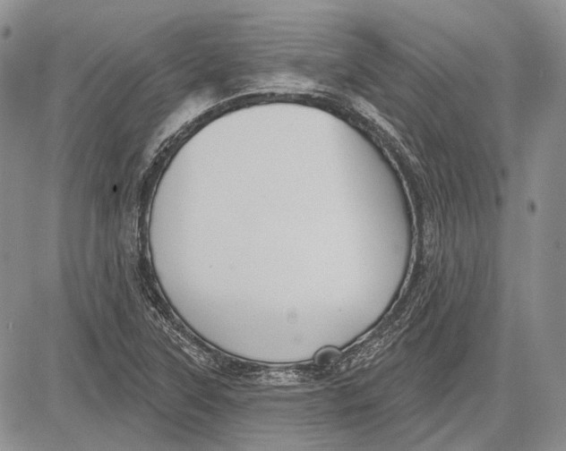 X0000081601315200702051319