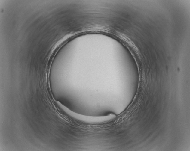 X0000081601316200702051319