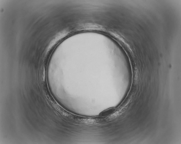 X0000081601317200702051319