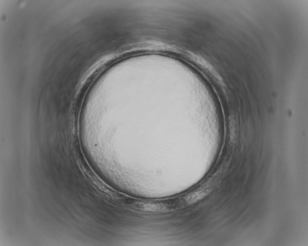 X0000081601318200702051319