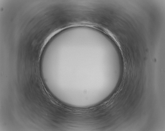 X0000081601320200702051319