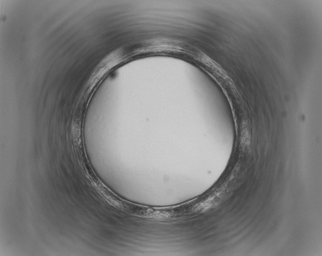 X0000081601321200702051319