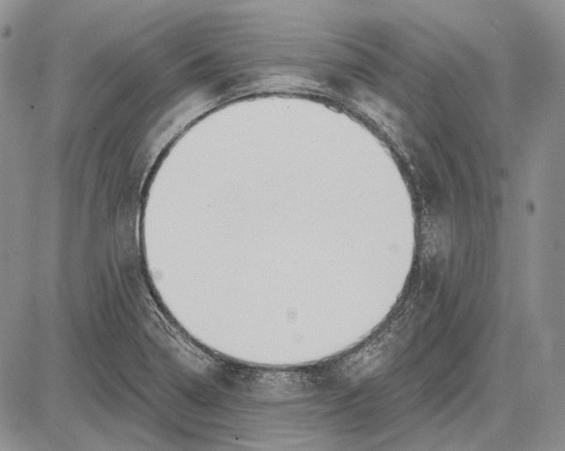 X0000081601322200702051319