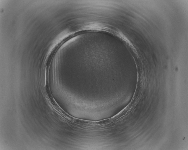 X0000081601323200702051319