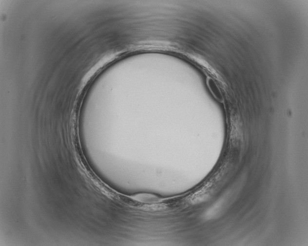 X0000081601325200702051319